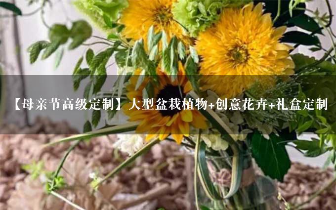 【母亲节高级定制】大型盆栽植物+创意花卉+礼盒定制