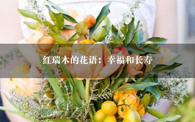 红瑞木的花语：幸福和长寿