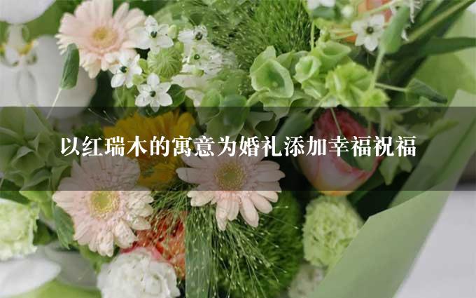 以红瑞木的寓意为婚礼添加幸福祝福