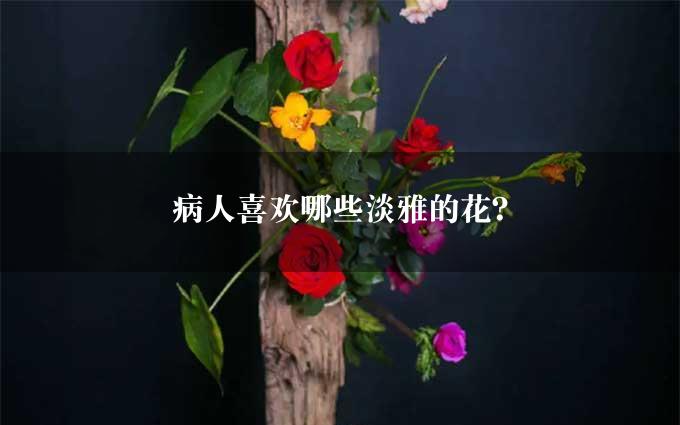 病人喜欢哪些淡雅的花？