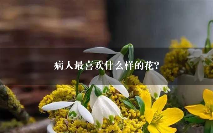 病人最喜欢什么样的花？