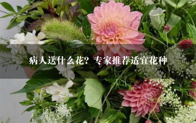 病人送什么花？专家推荐适宜花种