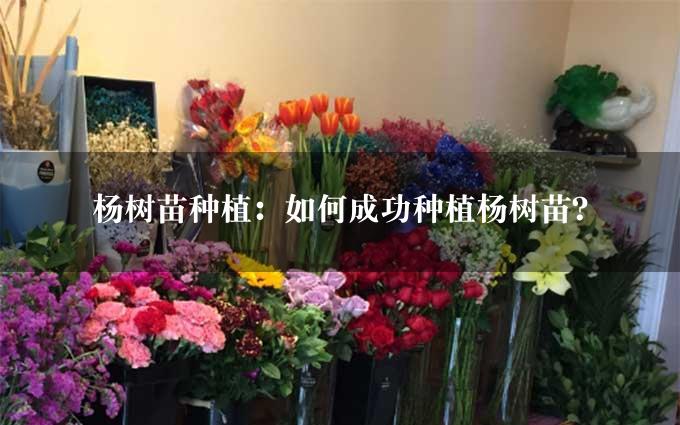 杨树苗种植：如何成功种植杨树苗？