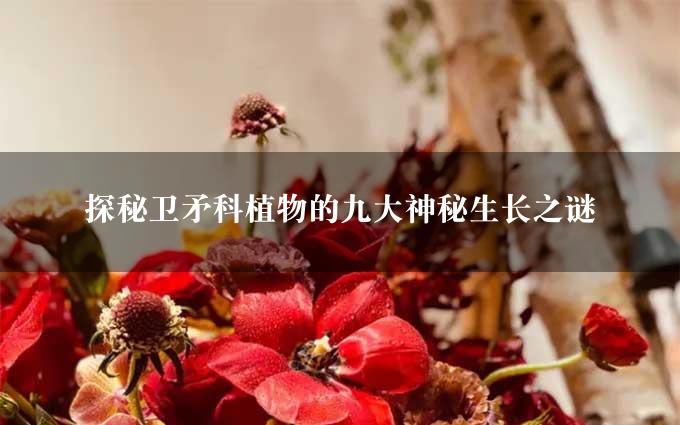 探秘卫矛科植物的九大神秘生长之谜