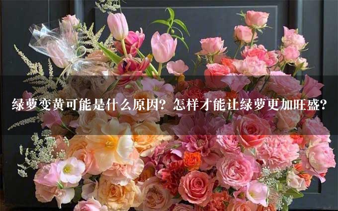 绿萝变黄可能是什么原因？怎样才能让绿萝更加旺盛？