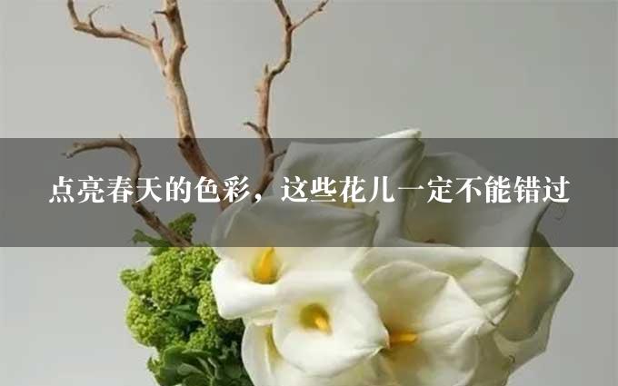 点亮春天的色彩，这些花儿一定不能错过