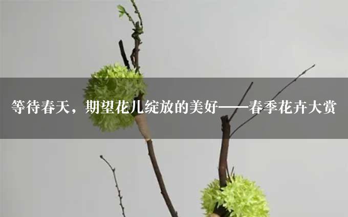 等待春天，期望花儿绽放的美好——春季花卉大赏