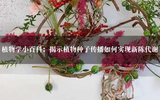 植物学小百科：揭示植物种子传播如何实现新陈代谢