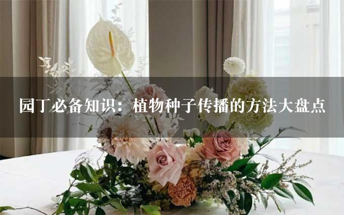 园丁必备知识：植物种子传播的方法大盘点