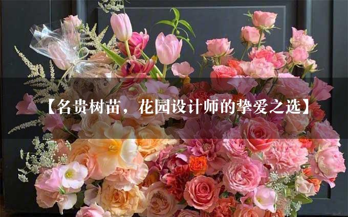 【名贵树苗，花园设计师的挚爱之选】