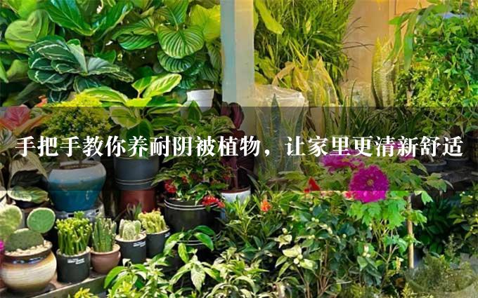 手把手教你养耐阴被植物，让家里更清新舒适