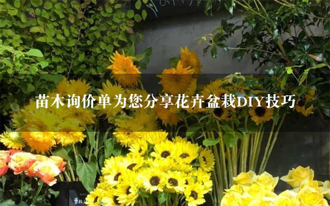 苗木询价单为您分享花卉盆栽DIY技巧