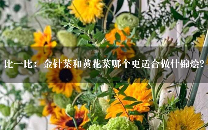 比一比：金针菜和黄花菜哪个更适合做什锦烩？