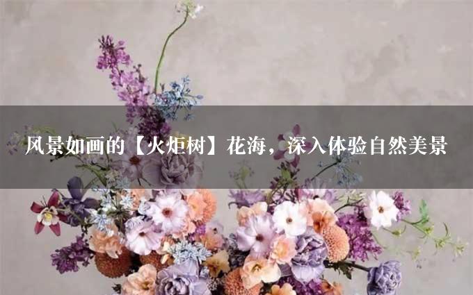 风景如画的【火炬树】花海，深入体验自然美景