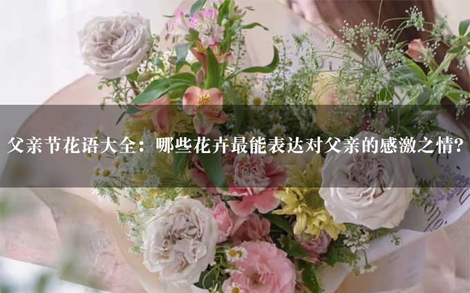 父亲节花语大全：哪些花卉最能表达对父亲的感激之情？