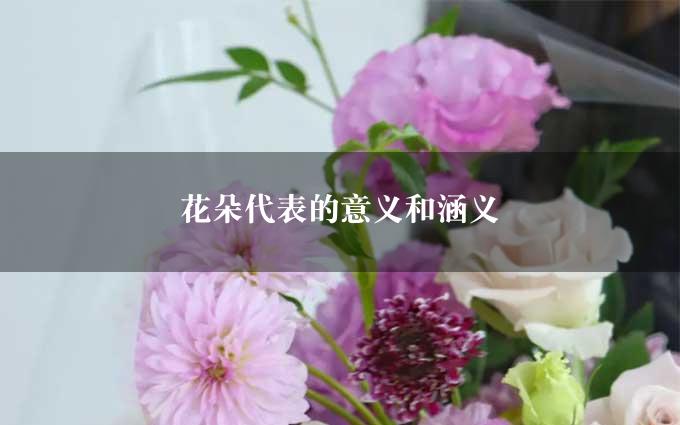 花朵代表的意义和涵义