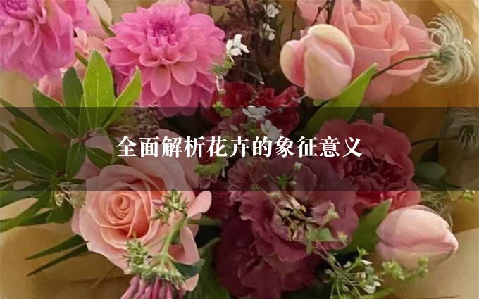 全面解析花卉的象征意义