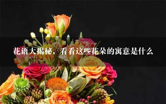 花语大揭秘，看看这些花朵的寓意是什么