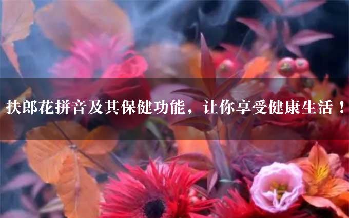 扶郎花拼音及其保健功能，让你享受健康生活！