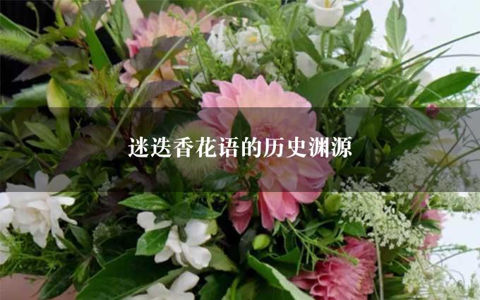 迷迭香花语的历史渊源