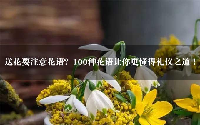 送花要注意花语？100种花语让你更懂得礼仪之道！