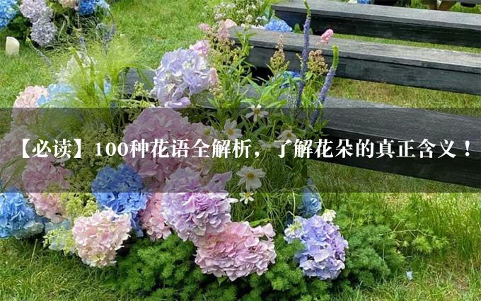 【必读】100种花语全解析，了解花朵的真正含义！