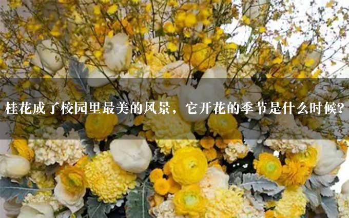 桂花成了校园里最美的风景，它开花的季节是什么时候？