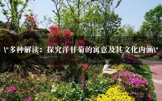 "多种解读：探究洋甘菊的寓意及其文化内涵"