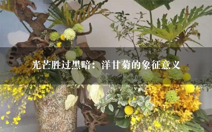 光芒胜过黑暗：洋甘菊的象征意义