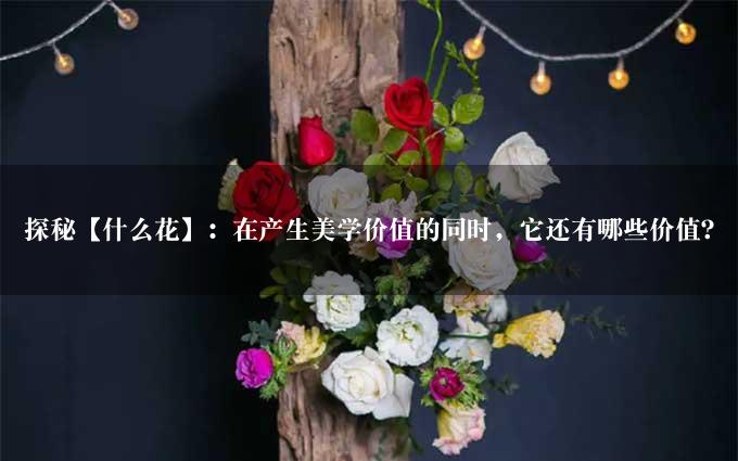 探秘【什么花】：在产生美学价值的同时，它还有哪些价值？