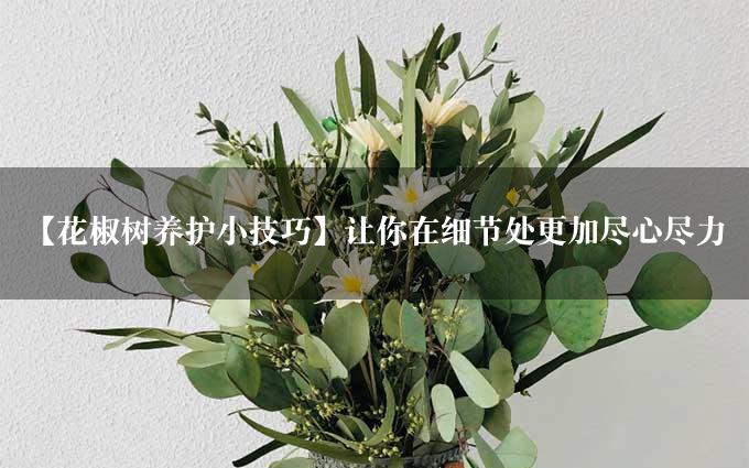 【花椒树养护小技巧】让你在细节处更加尽心尽力