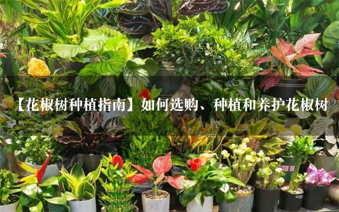 【花椒树种植指南】如何选购、种植和养护花椒树