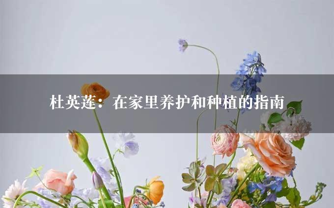 杜英莲：在家里养护和种植的指南