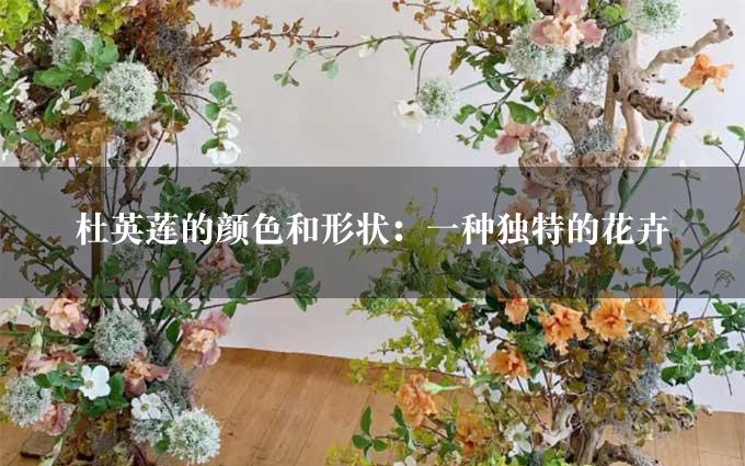 杜英莲的颜色和形状：一种独特的花卉