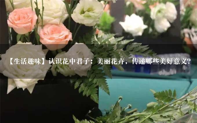 【生活趣味】认识花中君子：美丽花卉，传递哪些美好意义？