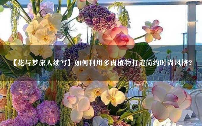 【花与梦旅人续写】如何利用多肉植物打造简约时尚风格？