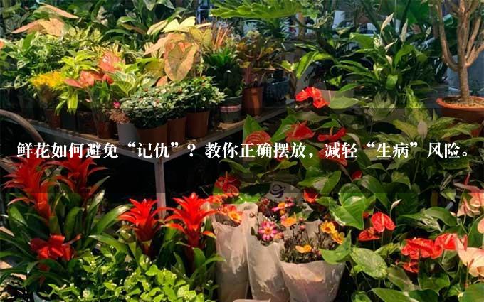 鲜花如何避免“记仇”？教你正确摆放，减轻“生病”风险。