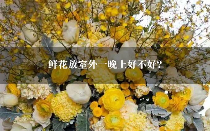 鲜花放室外一晚上好不好？