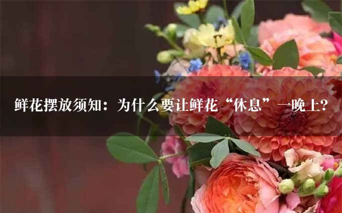 鲜花摆放须知：为什么要让鲜花“休息”一晚上？