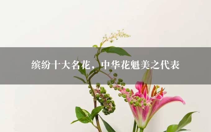 缤纷十大名花，中华花魁美之代表