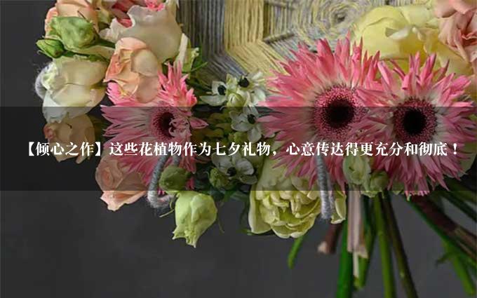 【倾心之作】这些花植物作为七夕礼物，心意传达得更充分和彻底！