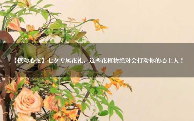 【撩动心弦】七夕专属花礼，这些花植物绝对会打动你的心上人！