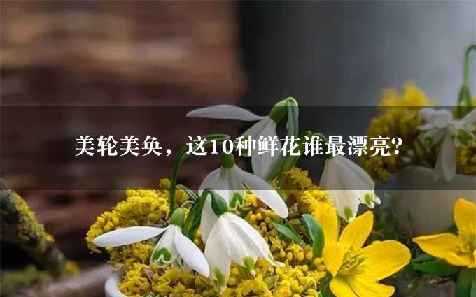 美轮美奂，这10种鲜花谁最漂亮？