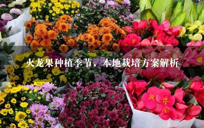 火龙果种植季节，本地栽培方案解析