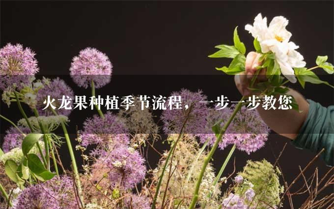 火龙果种植季节流程，一步一步教您