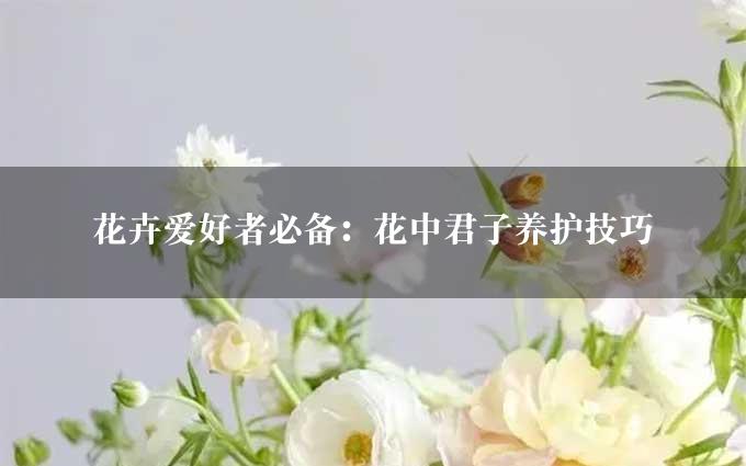 花卉爱好者必备：花中君子养护技巧