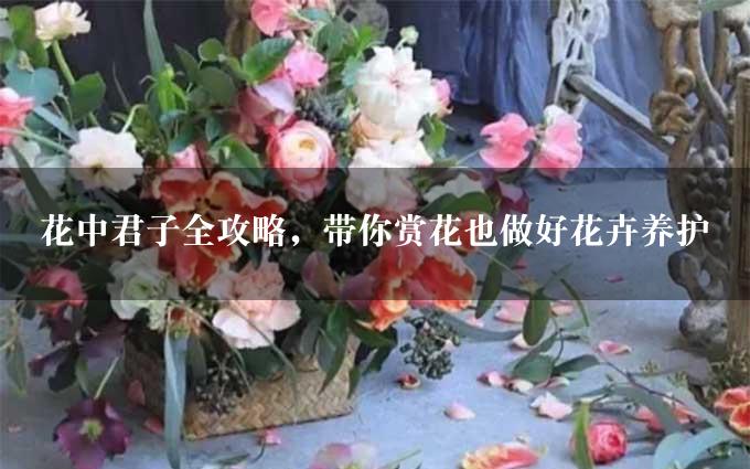 花中君子全攻略，带你赏花也做好花卉养护