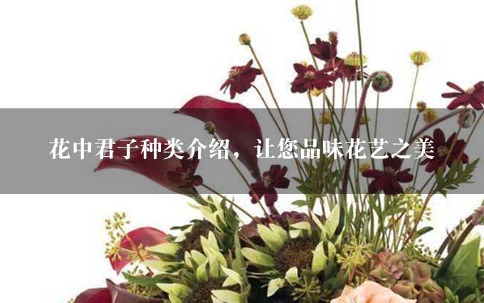 花中君子种类介绍，让您品味花艺之美