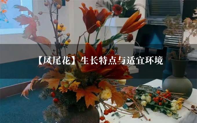 【凤尾花】生长特点与适宜环境