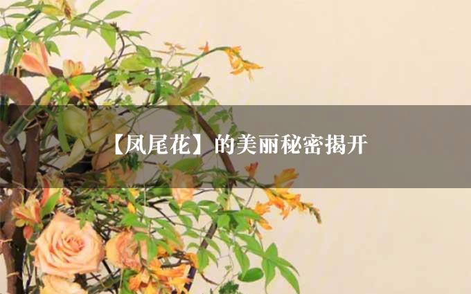 【凤尾花】的美丽秘密揭开